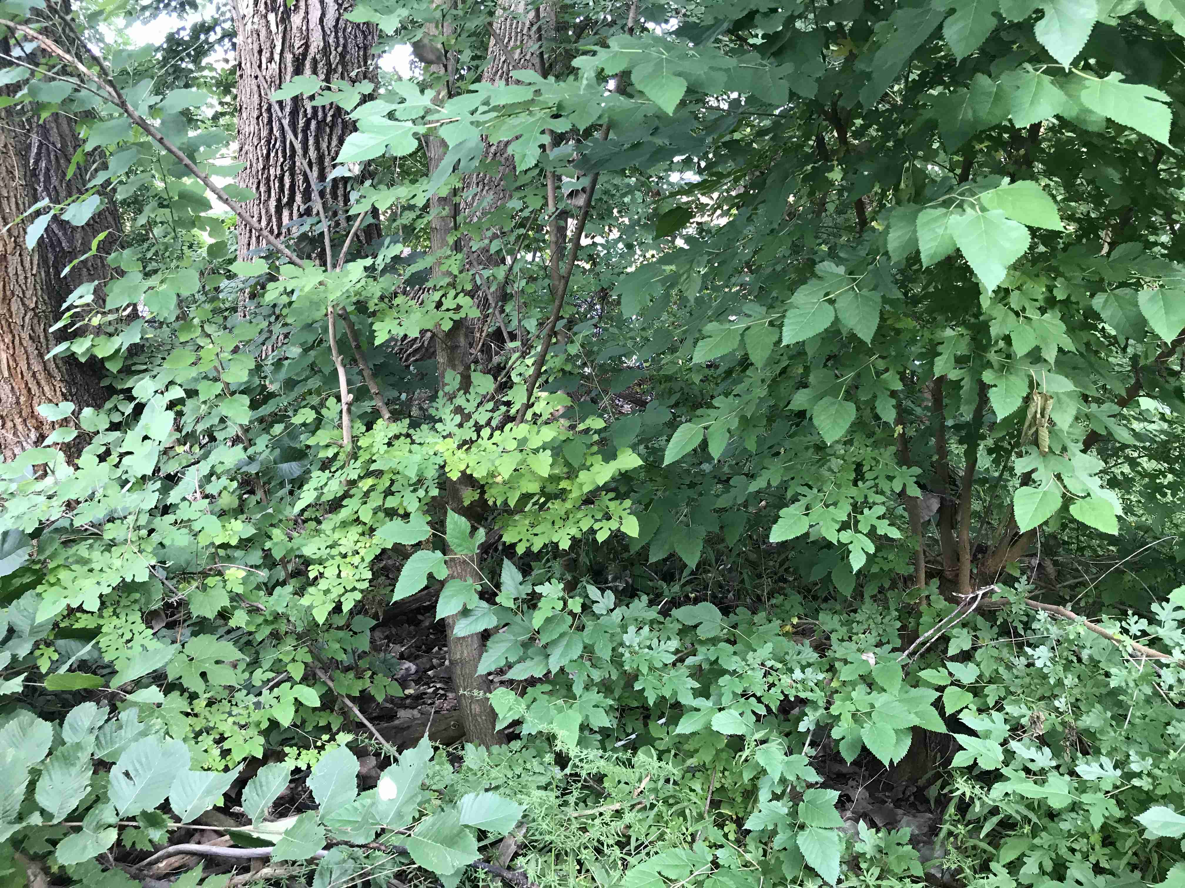 Photo Sep 09, 5 07 11 PM.jpg